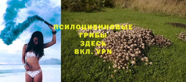apvp Балабаново