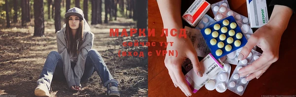 гашик Баксан