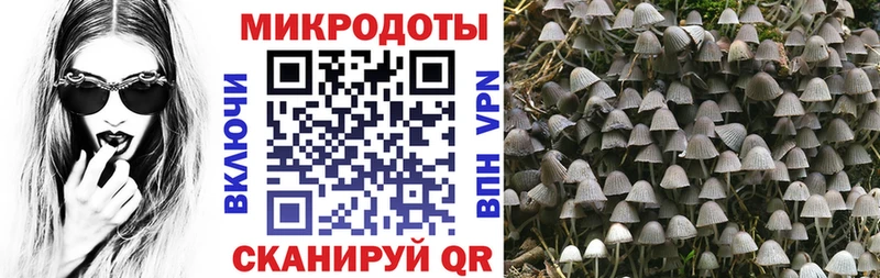 Галлюциногенные грибы прущие грибы  где купить наркотик  Гороховец 